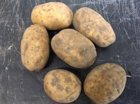 aardappels