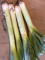 aardappelen