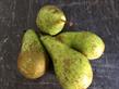 Biologische peren