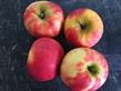 Appels.JPG