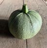  bol courgette